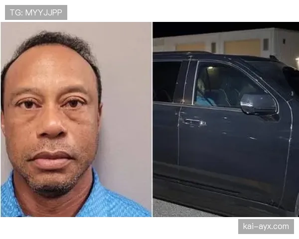 泰格伍兹车库里的豪车比我家房子还多，这日子也太让人羡慕了吧